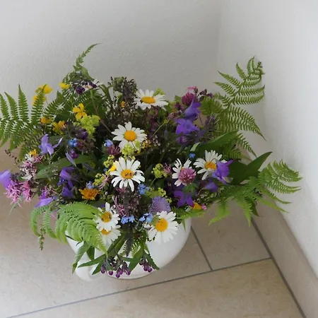 Apartmán Arche Hof Oebristhof *