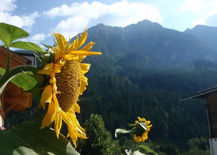 Arche Hof Oebristhof